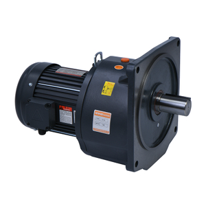Vertical Type Small Gear Reducer Motor